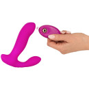 RC Shaking & Vibrating Panty Vibrator