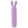 Cuties Rabbit Vibe Purple 5.Ge